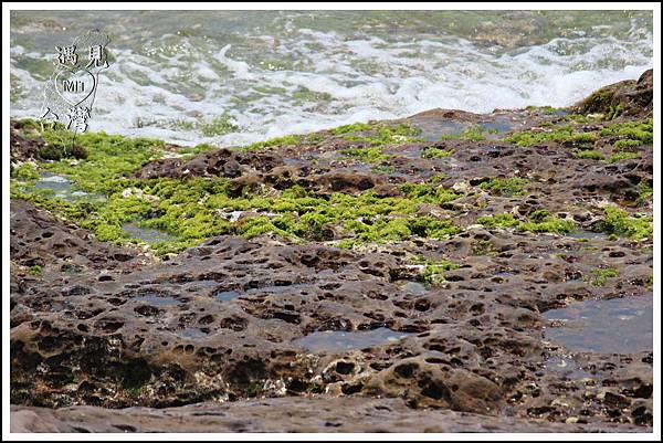 MeetinTaiwan - Yeh Liu GeoPark 野柳地質公園59.jpg