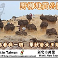 MeetinTaiwan - Yeh Liu GeoPark 野柳地質公園01.jpg