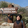 Sequoia 10.JPG