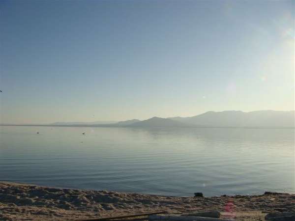 Salton Sea 03.JPG