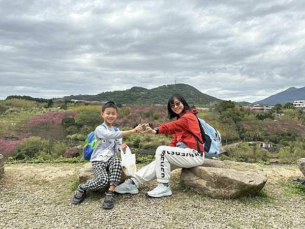 北台灣賞櫻系列-天元宮/平菁街/大熊櫻花林/陽明山國家公園/