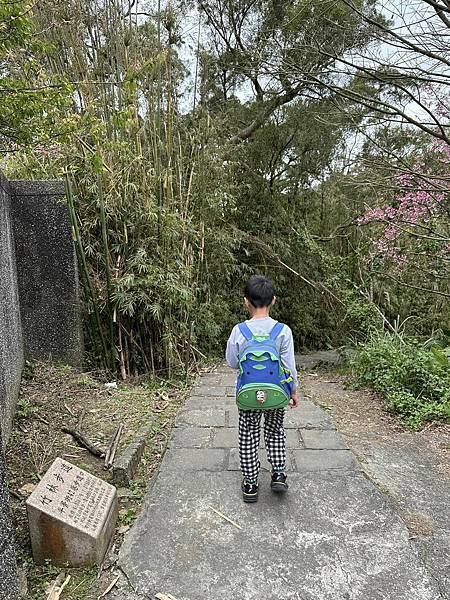 北台灣賞櫻系列-天元宮/平菁街/大熊櫻花林/陽明山國家公園/