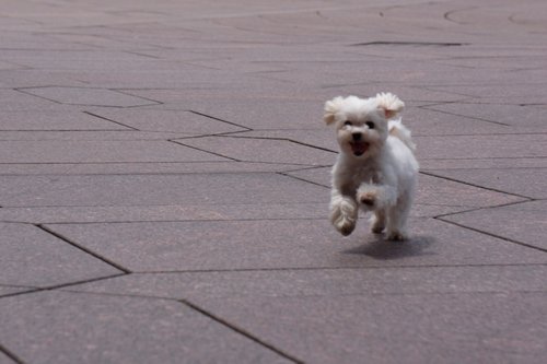 cd6e0cfb138a3528a5d6d8e098a1f796