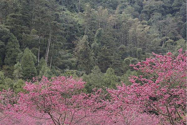 120.jpg 120.jpg
