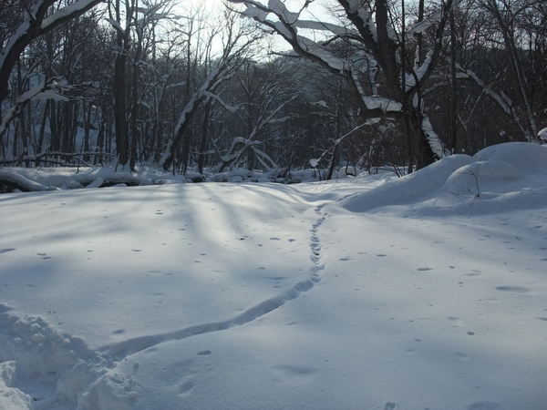 奧瀨入溪的雪