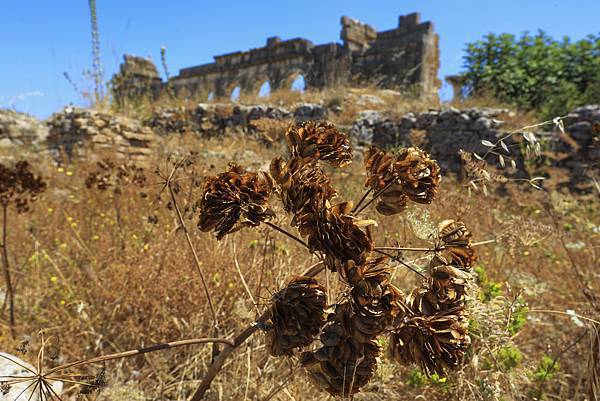 2018 0713-2《佛盧比里斯│古羅馬遺址》034.JPG