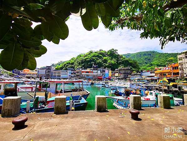 宜蘭蘇澳 海珍活海鮮 南方澳漁港海產餐廳好吃推薦 新鮮活跳跳海鮮搬上桌 邀約 鄭小柔charlene 食尚嬉遊記 痞客邦