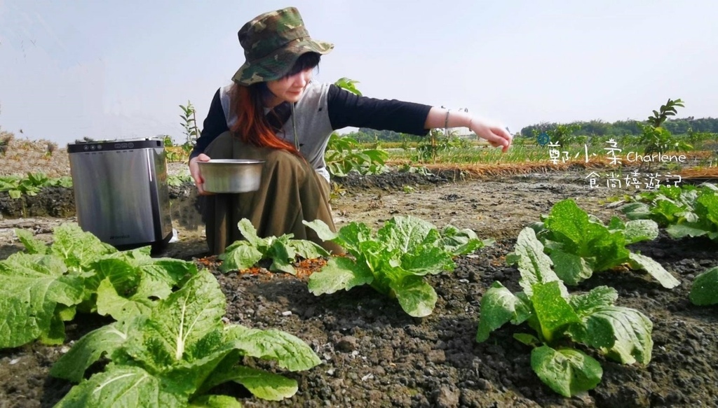 204173.jpg 廚房電器|SANSUI山水智能熱烘除臭4L廚餘機-一鍵智能啟動.一鍵清洗|垃圾變有機肥料|高溫乾燥研磨.UV殺菌.減少9成廚餘體