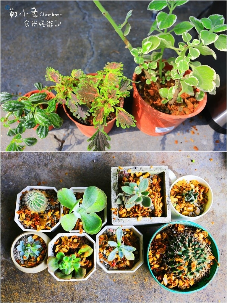 IMG_2456.JPG IMG_2456.JPG