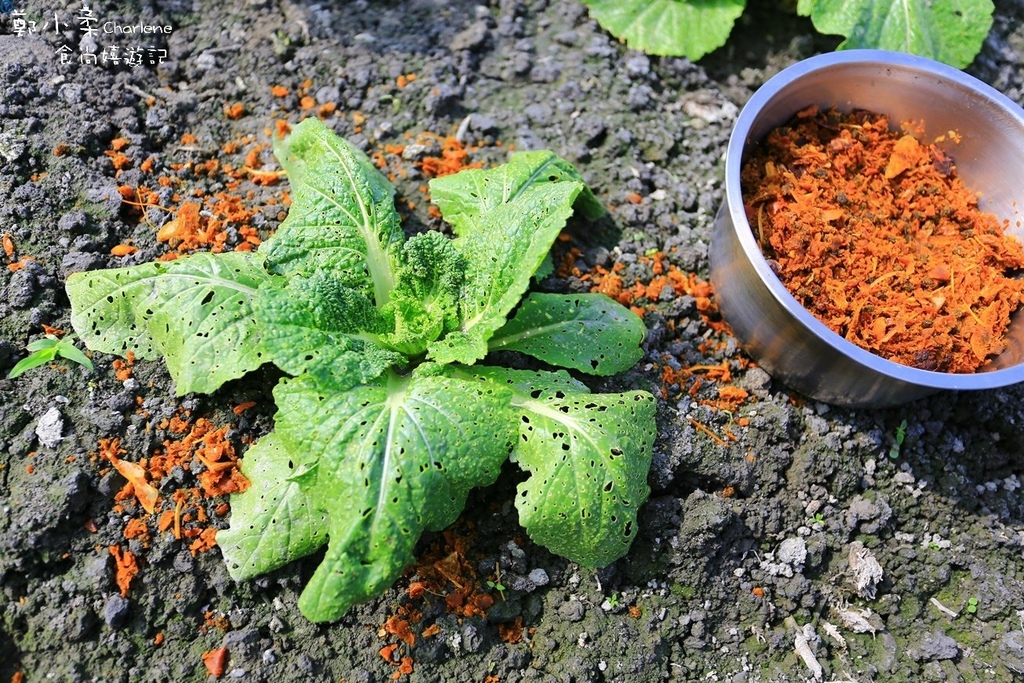 IMG_2450.JPG IMG_2450.JPG