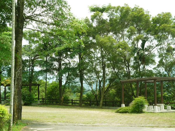 水里藝之森形象公園09.JPG