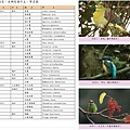 本鄉鳥類中文、學名錄