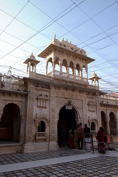 Bikaner-Karni Mata Temple  (14).jpg