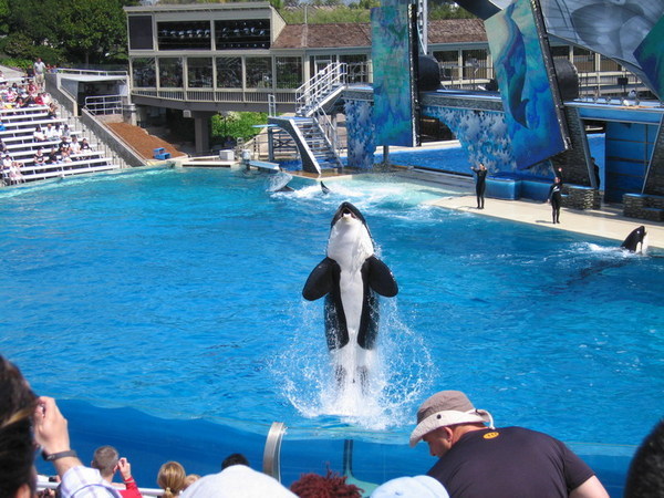 SD sea world