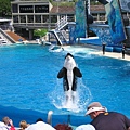 SD sea world