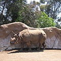 SD zoo