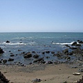Elephant Seal Beach