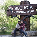 Sequoia NP 