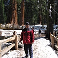 Sequoia NP