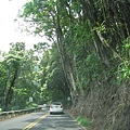 On the way to Hana