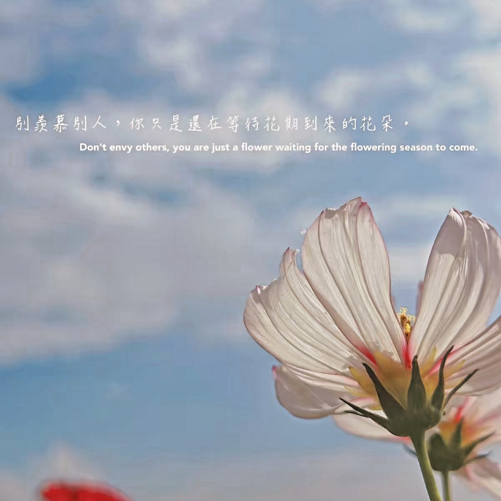每個人花期不同