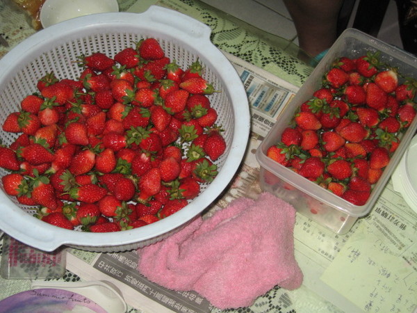 吃不完的草莓