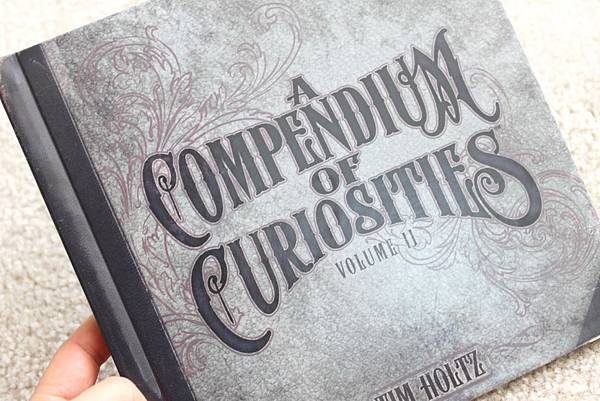 Tim Holtz book