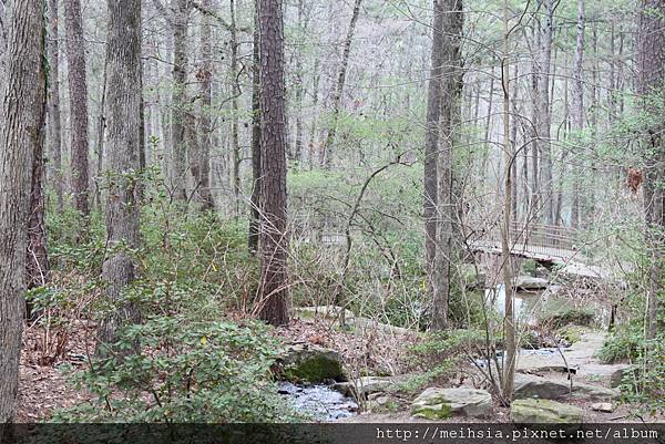 Garvan Woodland Garden