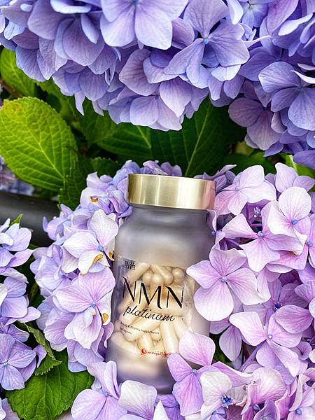 IMG_4960.JPG IMG_4960.JPG