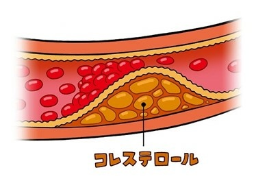 画像4.jpg 画像4.jpg