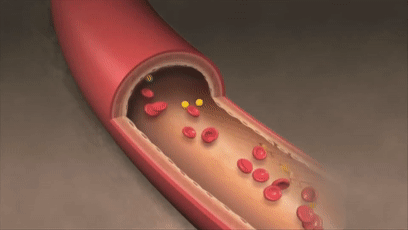 画像3.gif 画像3.gif