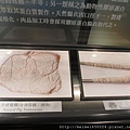 2014.07.20台南--黑橋牌-香腸博物館 043.jpg