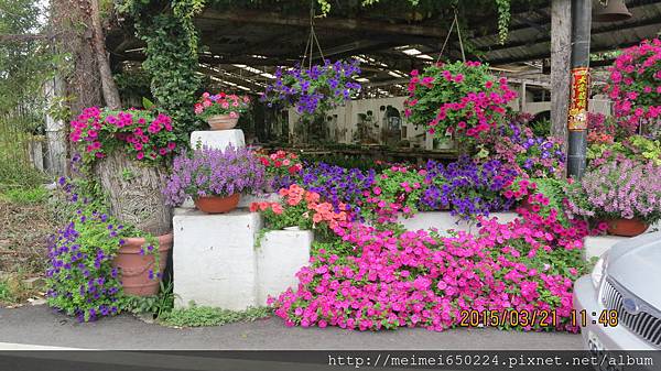 2015.03.21田尾公路花園&丫媽私房菜 096.jpg