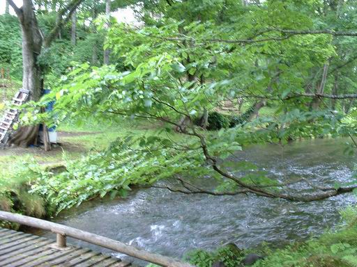 羊蹄名泉公園