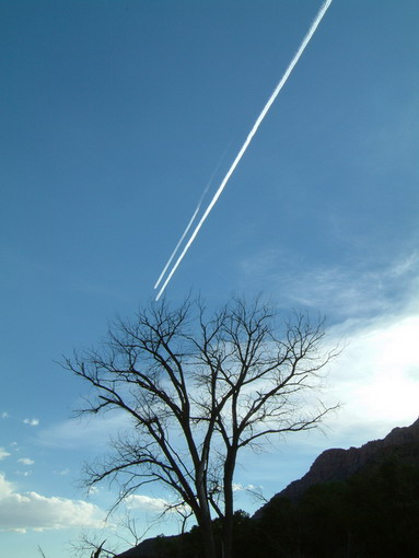 Zion National Park