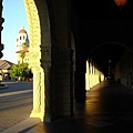 Stanford University