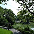 Center Park 中央公園