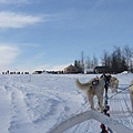 Dog Sledge