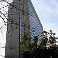 Tokyo International Hostel