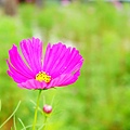 20110819-122.JPG