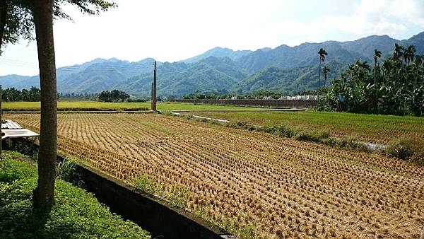 小幫手之旅  2015 67~616_9569.jpg