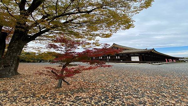 2022日本和歌山熊野伊勢關西賞楓遊記【DAY14. 石清水