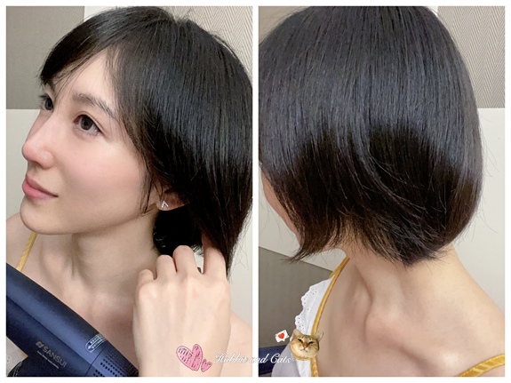 SANSUI 山水 極勁正負離子高速吹風機17.jpg SANSUI 山水 極勁正負離子高速吹風機