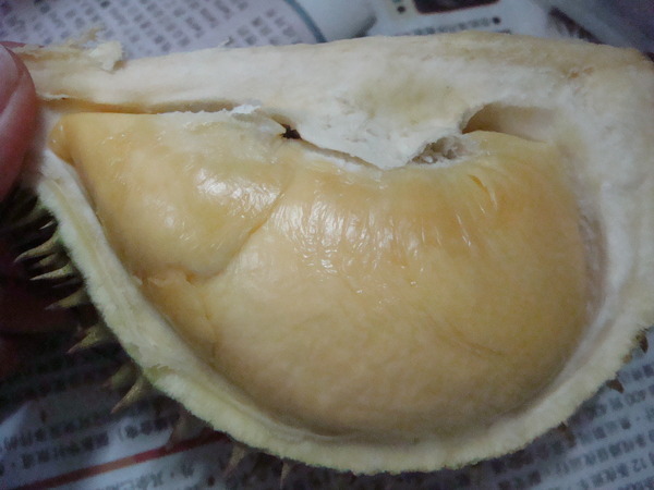 durian