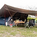 IMG_1665.jpg