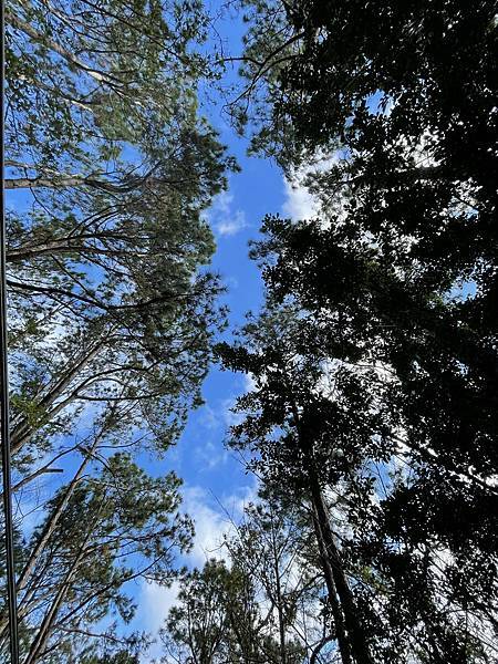 苗栗露營區苗栗南庄露營區松濤意境森林系露營區推薦苗栗森林系露營區