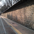 IMAG0775