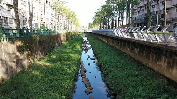 1.藤寮坑溝清澈的水質及綠意盎然的草叢，成為生物最佳城市棲地.jpg