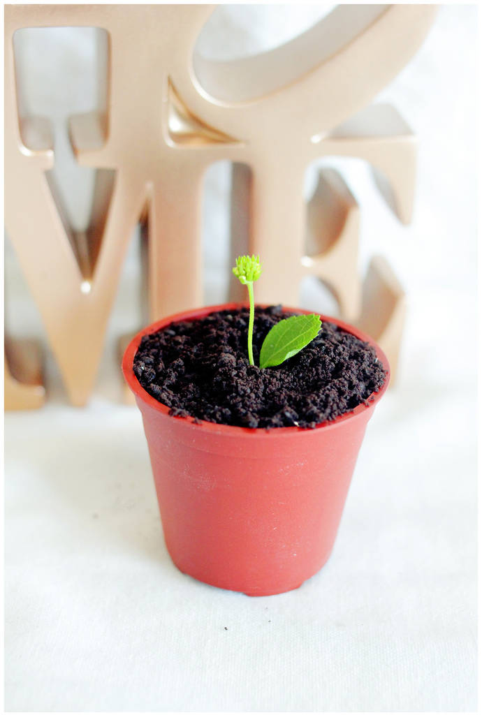 IMG_8386_副本.jpg IMG_8386_副本.jpg