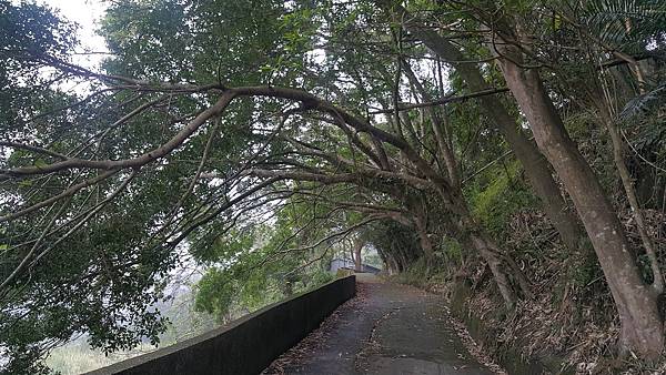 城鄉差距